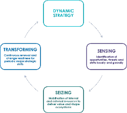 dynamic-strategy