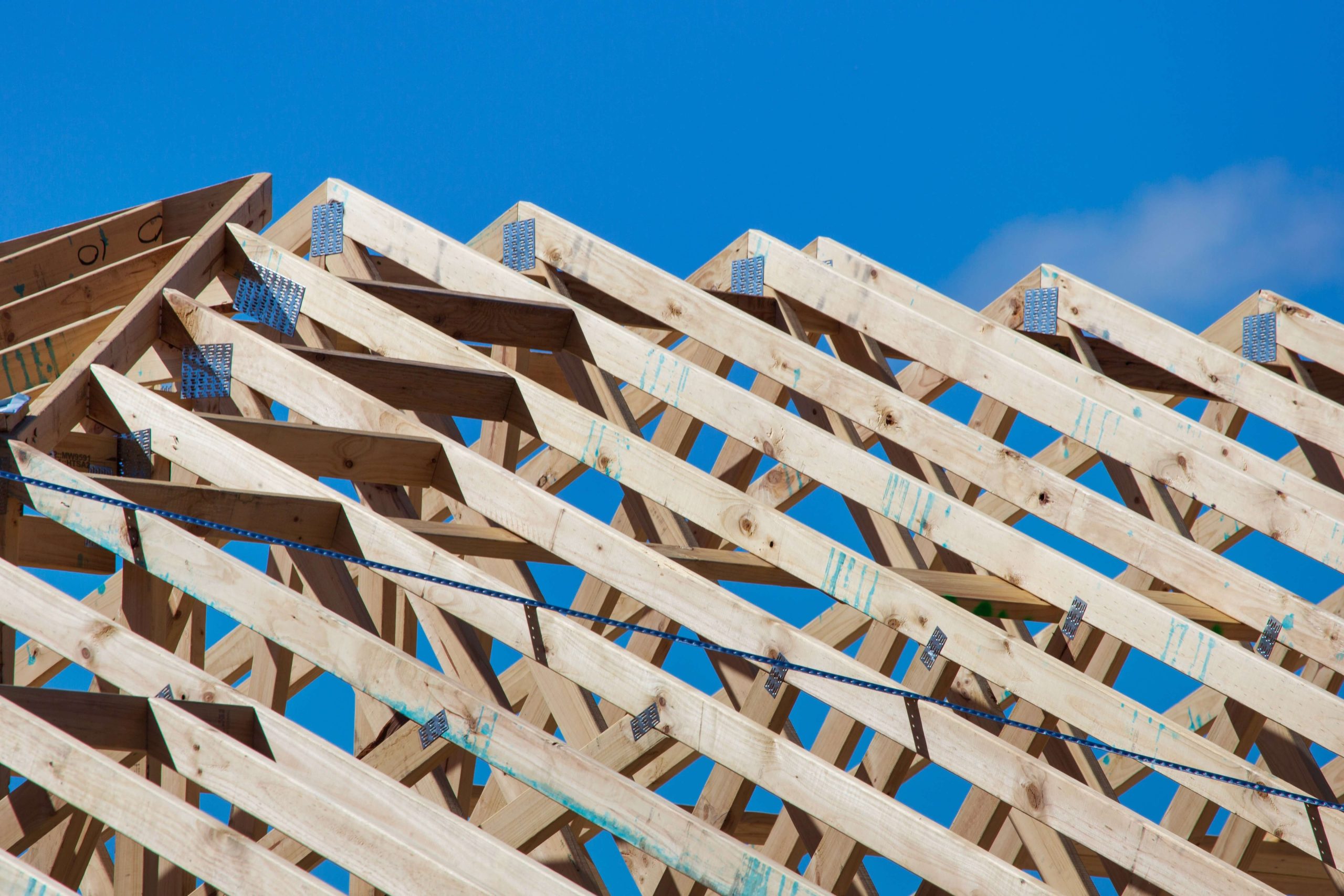 Rethinking mass timber -is it a sustainable building solution?